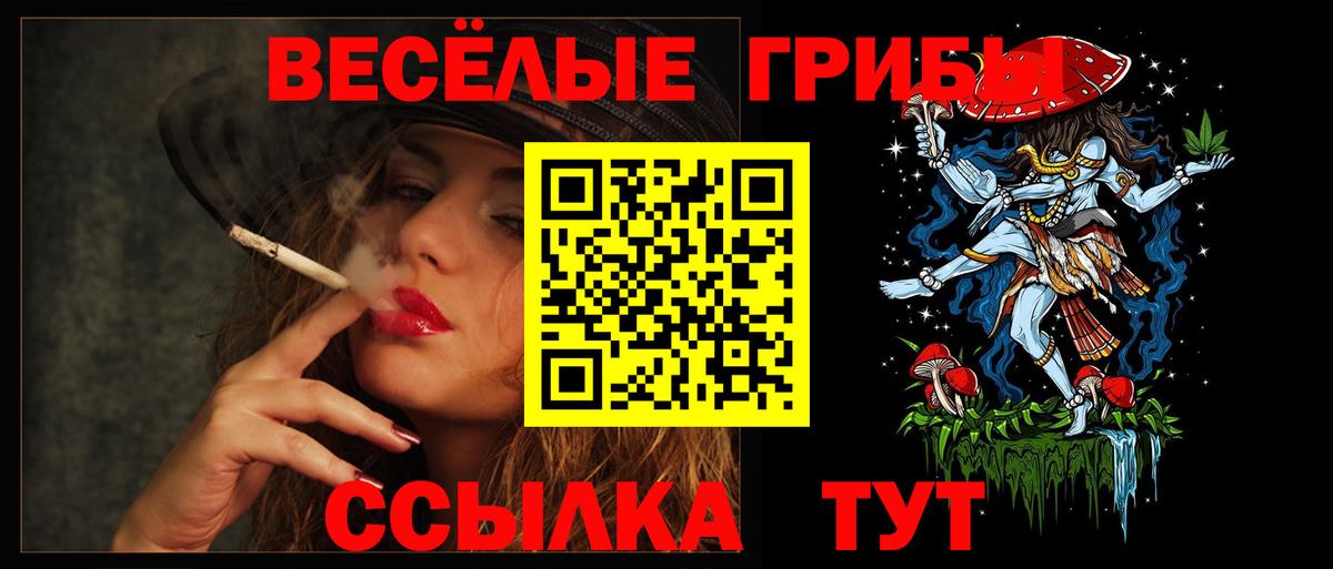 Галлюциногенные грибы прущие грибы Кропоткин